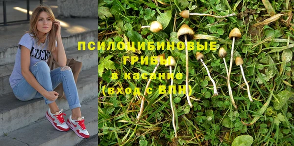 2c-b Абдулино