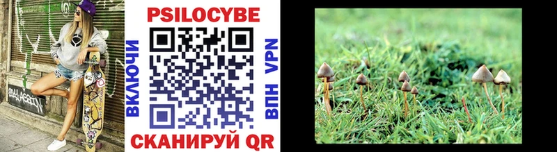 Псилоцибиновые грибы MAGIC MUSHROOMS Иваново